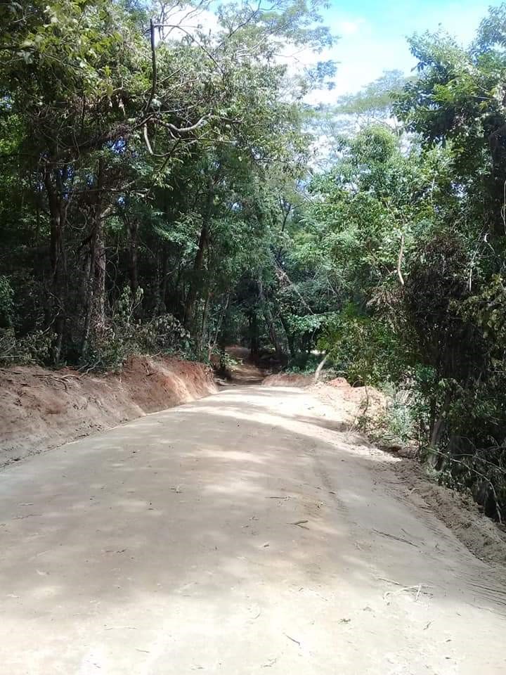CALLE1